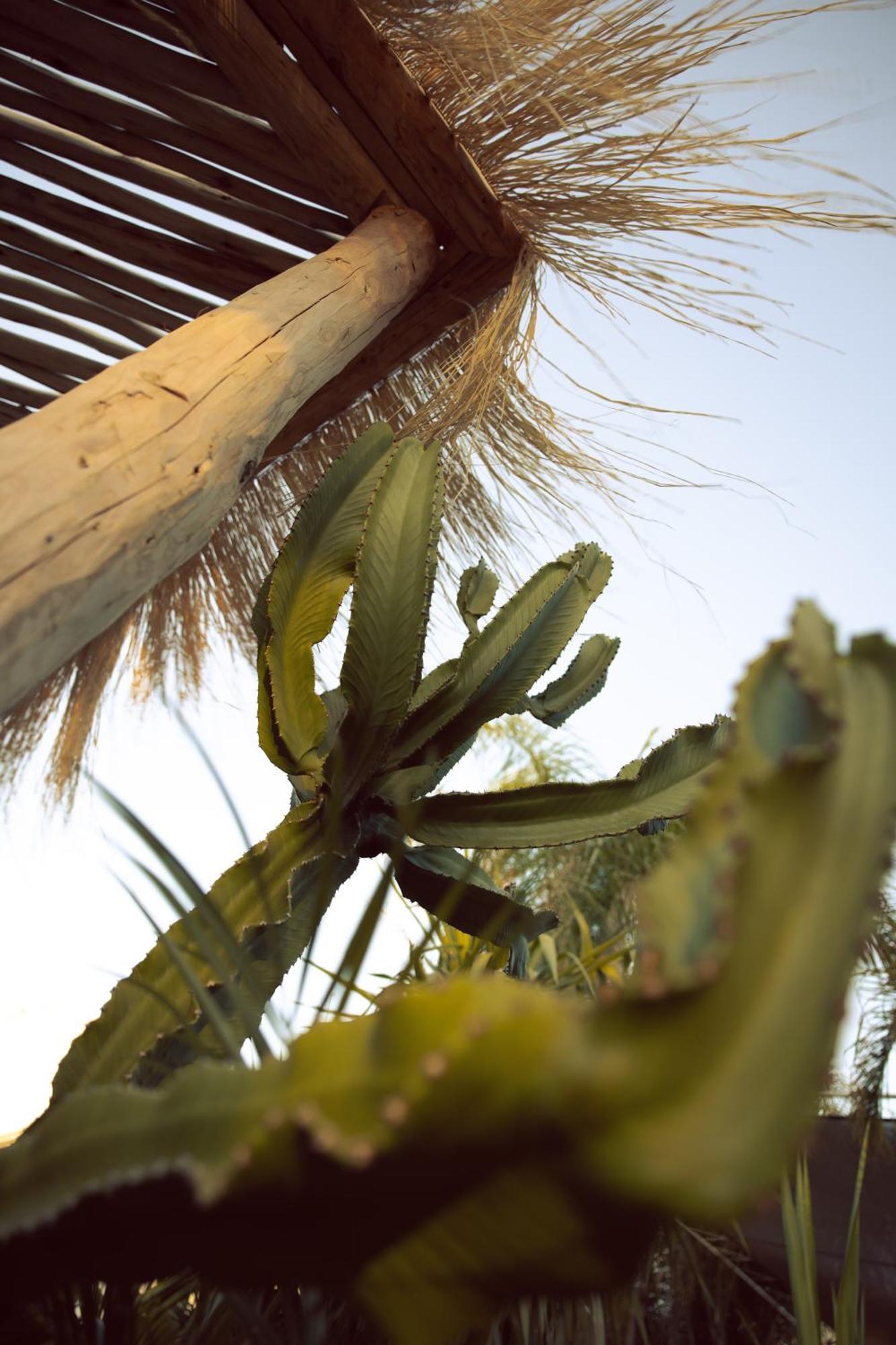 Les Palmiers Boutique Hotel & Spa Marrakesch Exterior foto