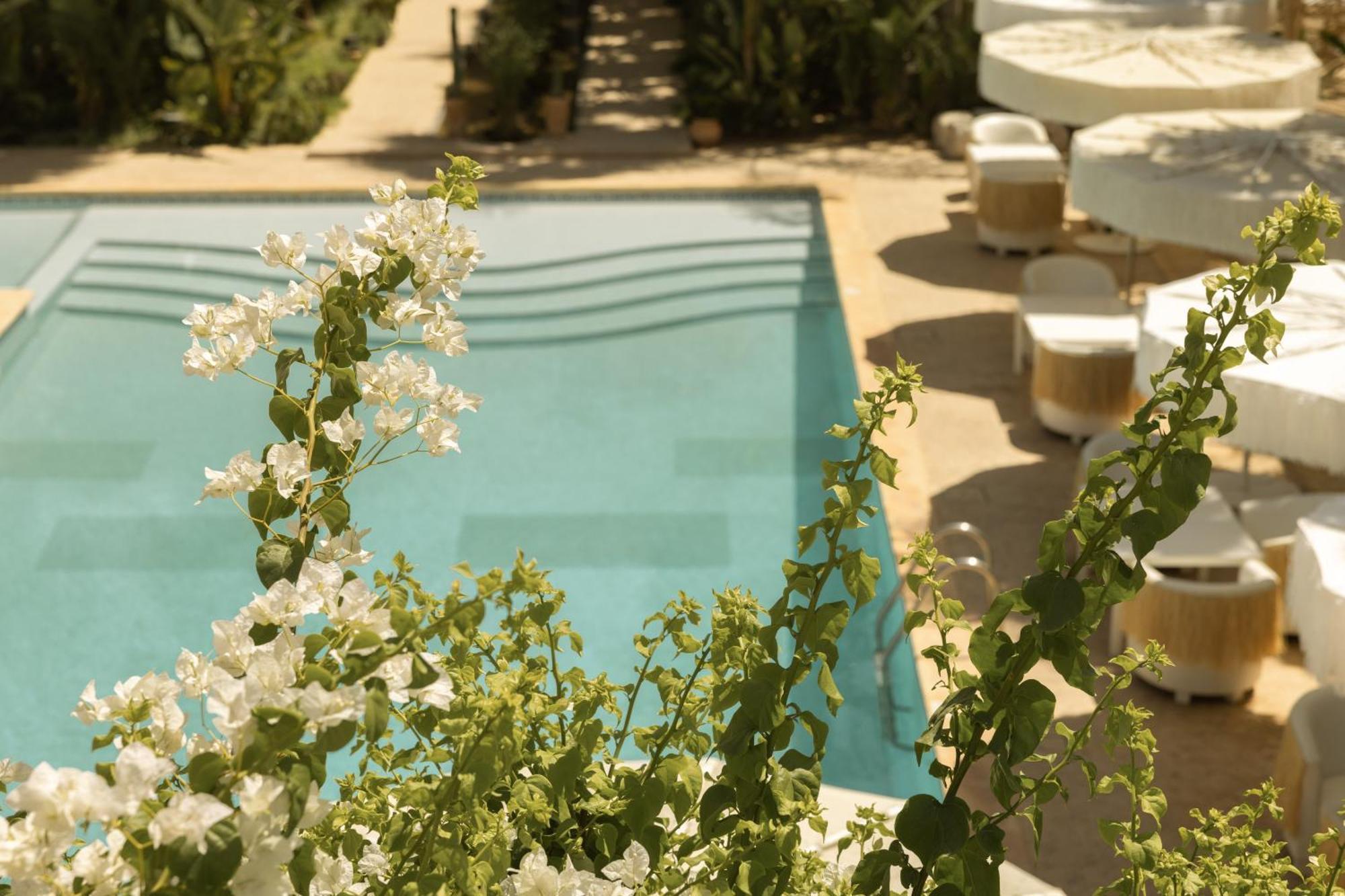 Les Palmiers Boutique Hotel & Spa Marrakesch Exterior foto
